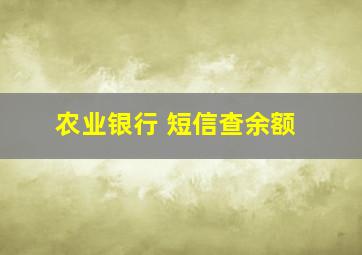 农业银行 短信查余额